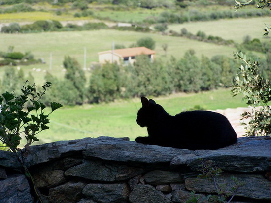 Kodak Z740: Sardinien